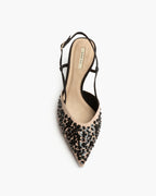 Zapato Nude Negro M5256