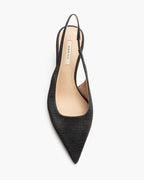Zapato Negro M5300